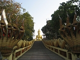 Golden Buddah 02